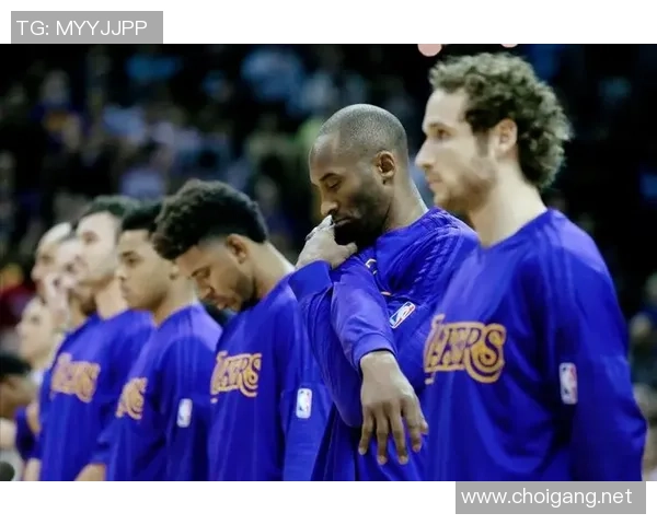 杭州排球队状态回暖大满贯点评展现球队新气象