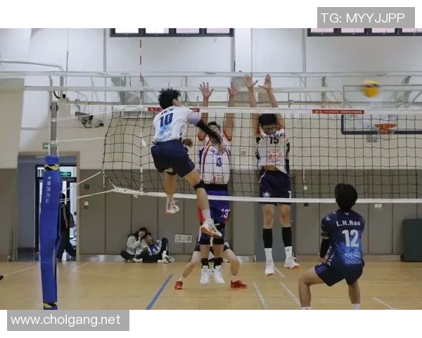 武汉排球队的独特节奏与战术解析深度探讨排球魅力与团队协作