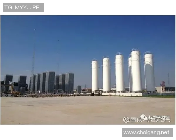 青年赛点评：LNG的意识表现