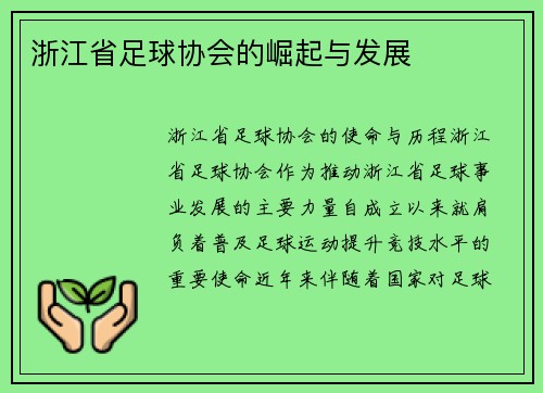 浙江省足球协会的崛起与发展