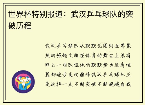 世界杯特别报道：武汉乒乓球队的突破历程