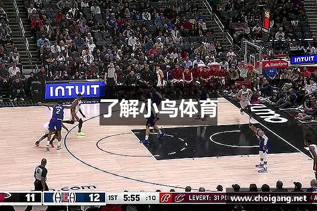 了解小鸟体育